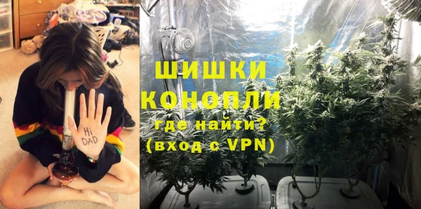 ГАЛЛЮЦИНОГЕННЫЕ ГРИБЫ Сатка