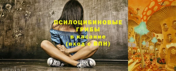 прущий лед Богородицк