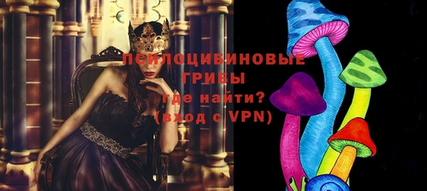 прущий лед Богородицк