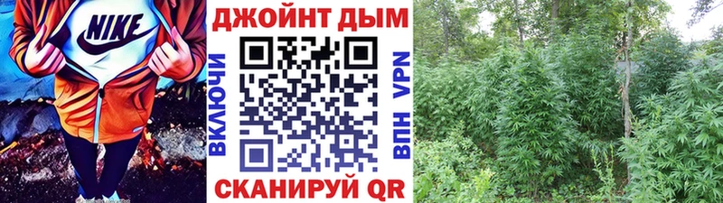 Шишки марихуана марихуана  продажа наркотиков  ОМГ ОМГ рабочий сайт  Новосокольники 